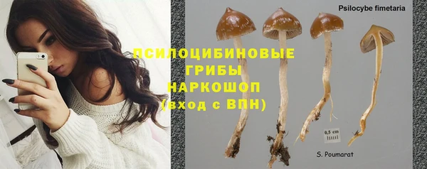 PSILOCYBIN Карпинск