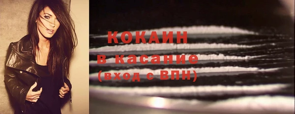 PSILOCYBIN Карпинск