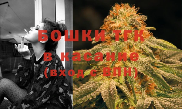 PSILOCYBIN Карпинск